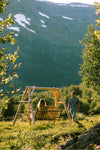 Log Hammock